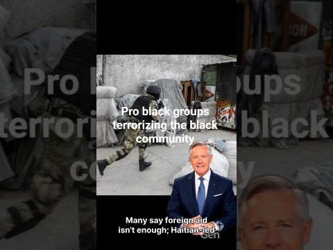 pro black criminals are terrorizing the black community pro black criminals are terrorizing the black community