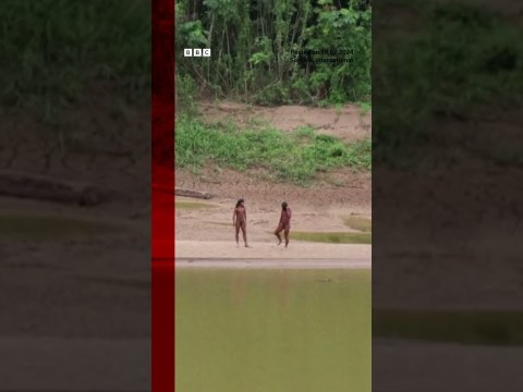 Rare sighting of uncontacted indigenous people in Peru. #Tribes #Peru #BBCNews Rare sighting of uncontacted indigenous people in Peru. #Tribes #Peru #BBCNews