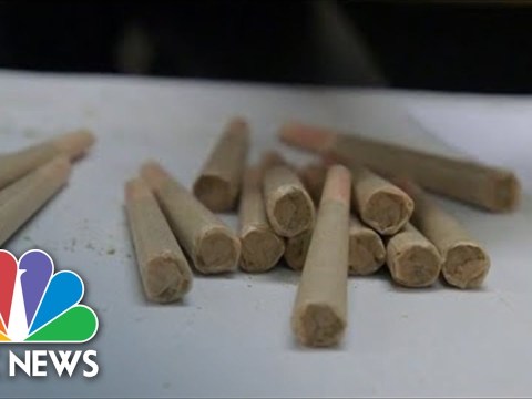 California Cannabis Businesses Fear State’s Legal Industry Could Collapse California Cannabis Businesses Fear State’s Legal Industry Could Collapse