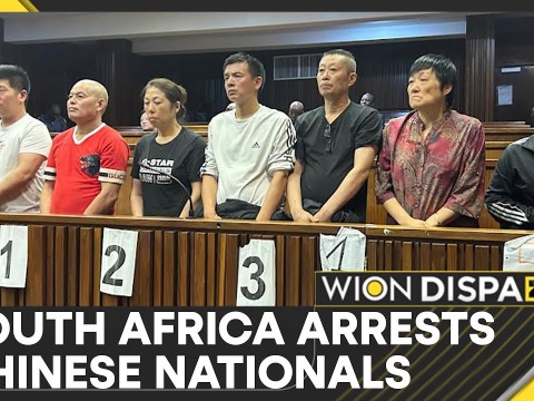 Chinese Nationals Arrested In South Africa | World News | WION Chinese Nationals Arrested In South Africa | World News | WION
