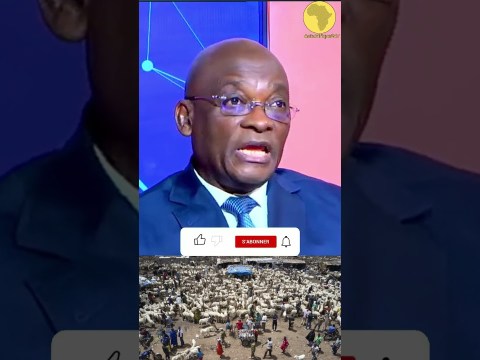 Tabaski : le président de la filière mouton rassure les populations !#Shorts#côte d’ivoire#aes Tabaski : le président de la filière mouton rassure les populations !#Shorts#côte d’ivoire#aes