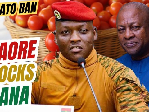 MILLION-DOLLAR CUTOFF: Ibrahim Traore’s Burkina Faso Bans Tomato Exports to Ghana MILLION-DOLLAR CUTOFF: Ibrahim Traore’s Burkina Faso Bans Tomato Exports to Ghana