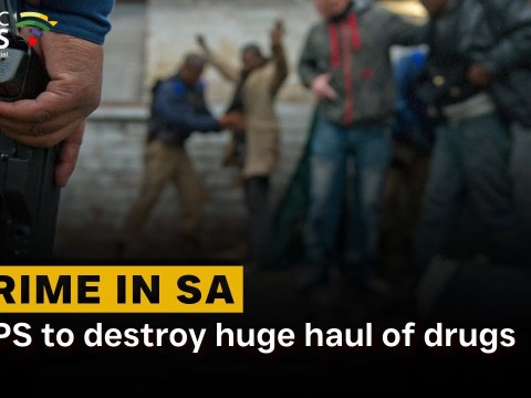 SAPS to destroy huge haul of drugs SAPS to destroy huge haul of drugs
