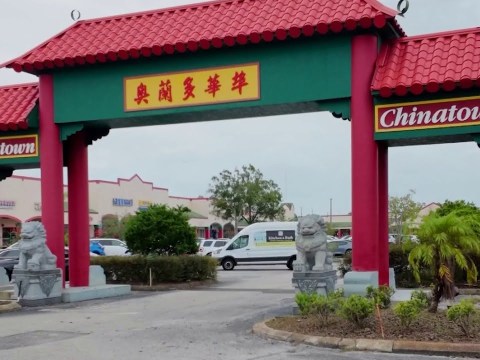 Did you know Pine Hills is home to Caribbean, Asian and Latin supermarkets? Did you know Pine Hills is home to Caribbean, Asian and Latin supermarkets?