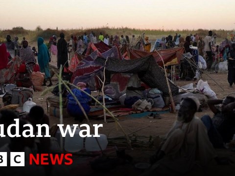 Hundreds killed at hospital in Sudan, El-Fasher | BBC News Hundreds killed at hospital in Sudan, El-Fasher | BBC News