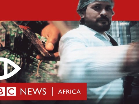 India’s Opioid Kings – BBC Africa Eye Documentary India’s Opioid Kings – BBC Africa Eye Documentary