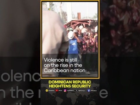 Dominican Republic maintains vigilance at the border | WION Shorts Dominican Republic maintains vigilance at the border | WION Shorts