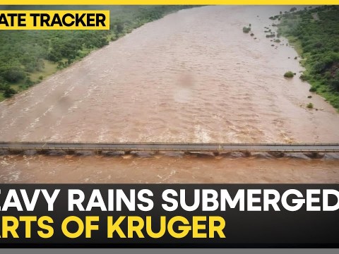 Kruger Floods: River Burst Banks in South Africa’s Kruger; Wildlife Park Hit by Fast-Rising Waters Kruger Floods: River Burst Banks in South Africa’s Kruger; Wildlife Park Hit by Fast-Rising Waters