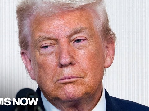 Questions about the role of racism in Trump’s MAGA support follow offensive social media post Questions about the role of racism in Trump’s MAGA support follow offensive social media post