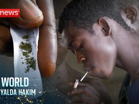 How the drug kush is ruining lives in West Africa | The World with Yalda Hakim How the drug kush is ruining lives in West Africa | The World with Yalda Hakim