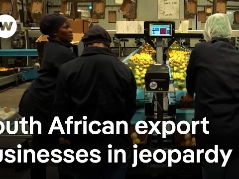 Trump’s tariffs shake African economies: Could it get worse? | DW News Trump’s tariffs shake African economies: Could it get worse? | DW News