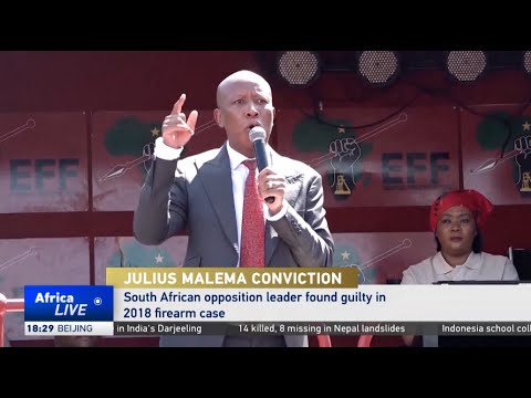 South African opposition leader Julius Malema found guilty on 2018 firearm case South African opposition leader Julius Malema found guilty on 2018 firearm case