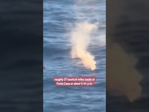 Royal Caribbean passenger survives after falling overboard from 10th deck #shorts Royal Caribbean passenger survives after falling overboard from 10th deck #shorts