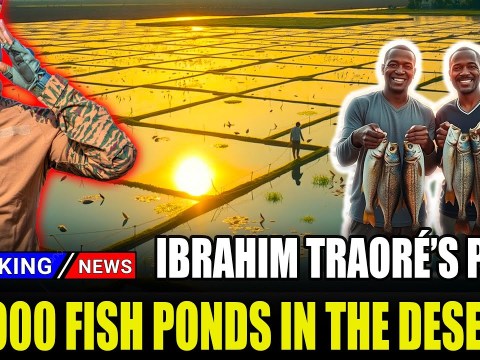 Why is President Ibrahim Traoré Building 2,000 Fish Ponds in The Desert! Why is President Ibrahim Traoré Building 2,000 Fish Ponds in The Desert!