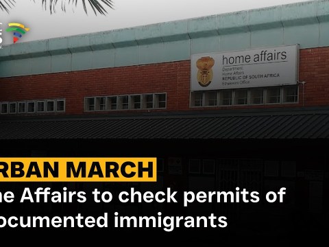 Home Affairs to check permits of undocumented immigrants Home Affairs to check permits of undocumented immigrants