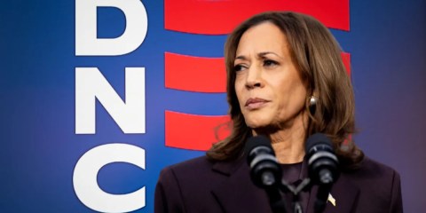 DNC autopsy report vindicates Kamala Harris, exposes party’s ‘Black infrastructure’ problem, critics say DNC autopsy report vindicates Kamala Harris, exposes party’s ‘Black infrastructure’ problem, critics say