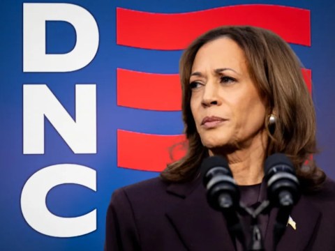 DNC autopsy report vindicates Kamala Harris, exposes party’s ‘Black infrastructure’ problem, critics say DNC autopsy report vindicates Kamala Harris, exposes party’s ‘Black infrastructure’ problem, critics say