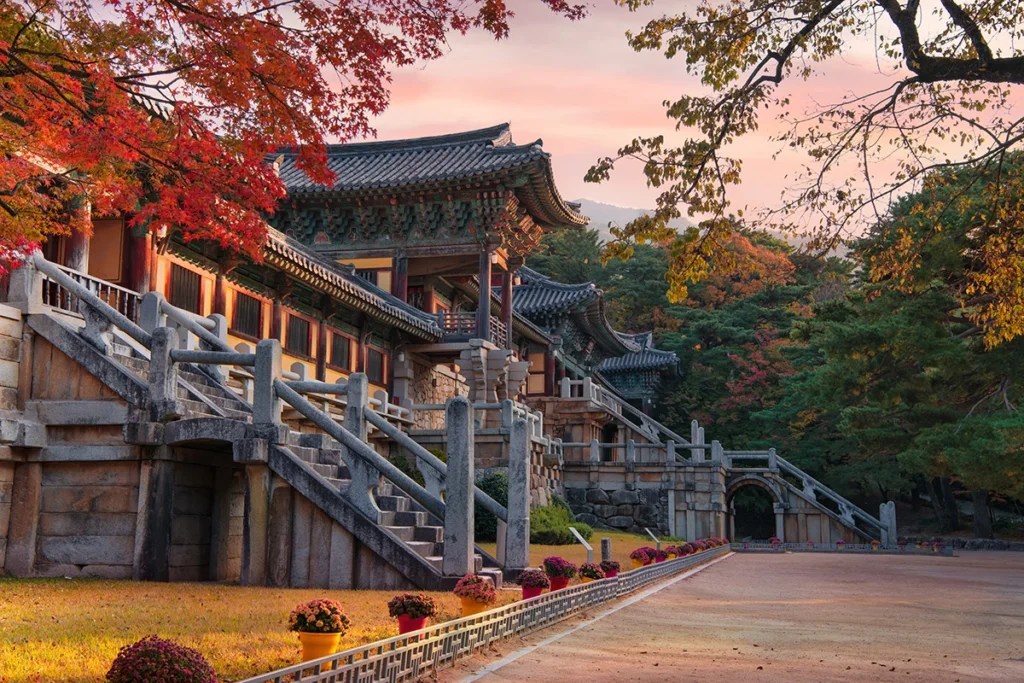 2025韓國慶州特色美食攻略:不可錯過的傳統與新式料理 2025韓國慶州特色美食攻略:不可錯過的傳統與新式料理