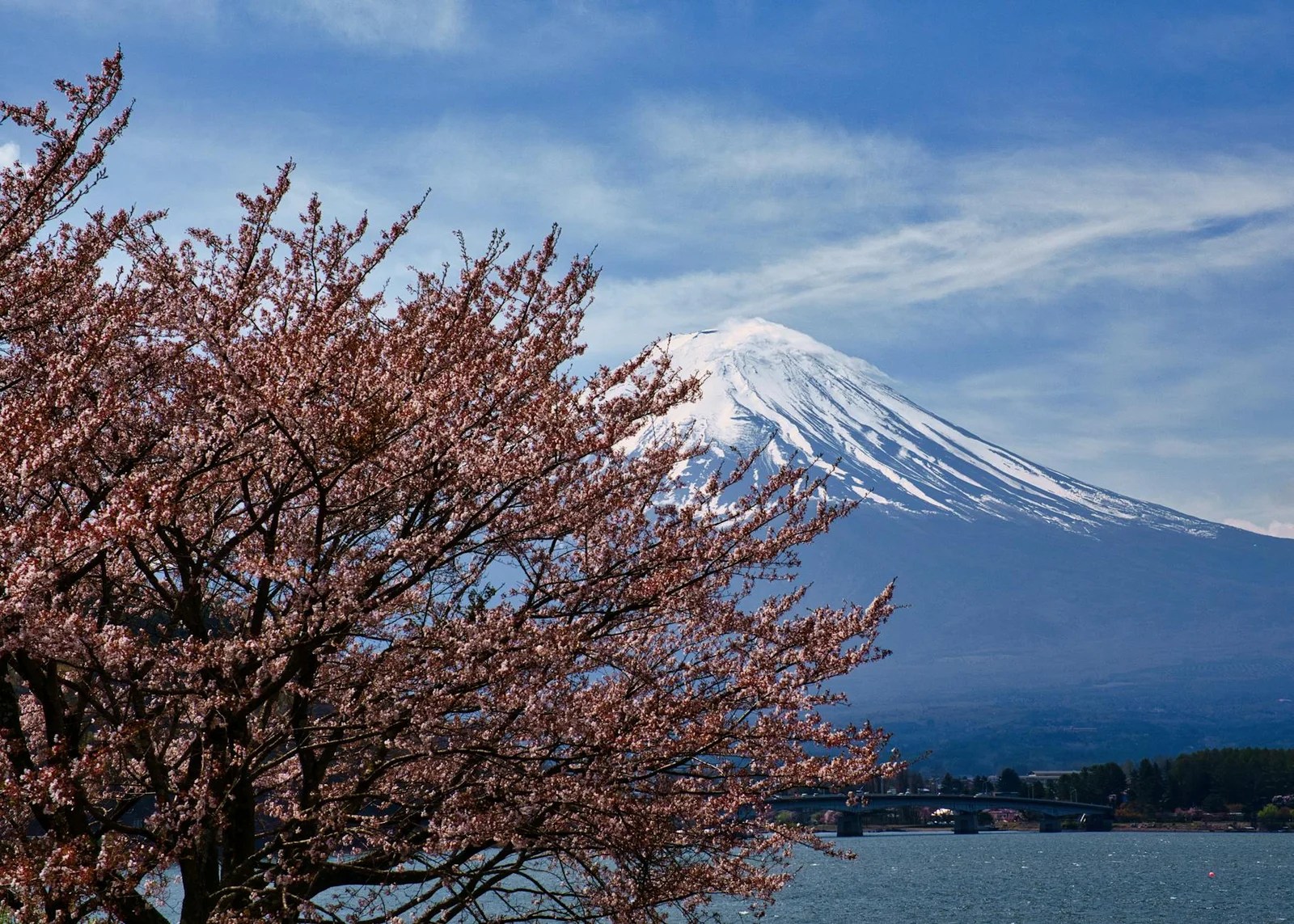 日本Outlet推薦折扣網購Vs實體店|2026購買管道評比心得 日本Outlet推薦折扣網購Vs實體店|2026購買管道評比心得