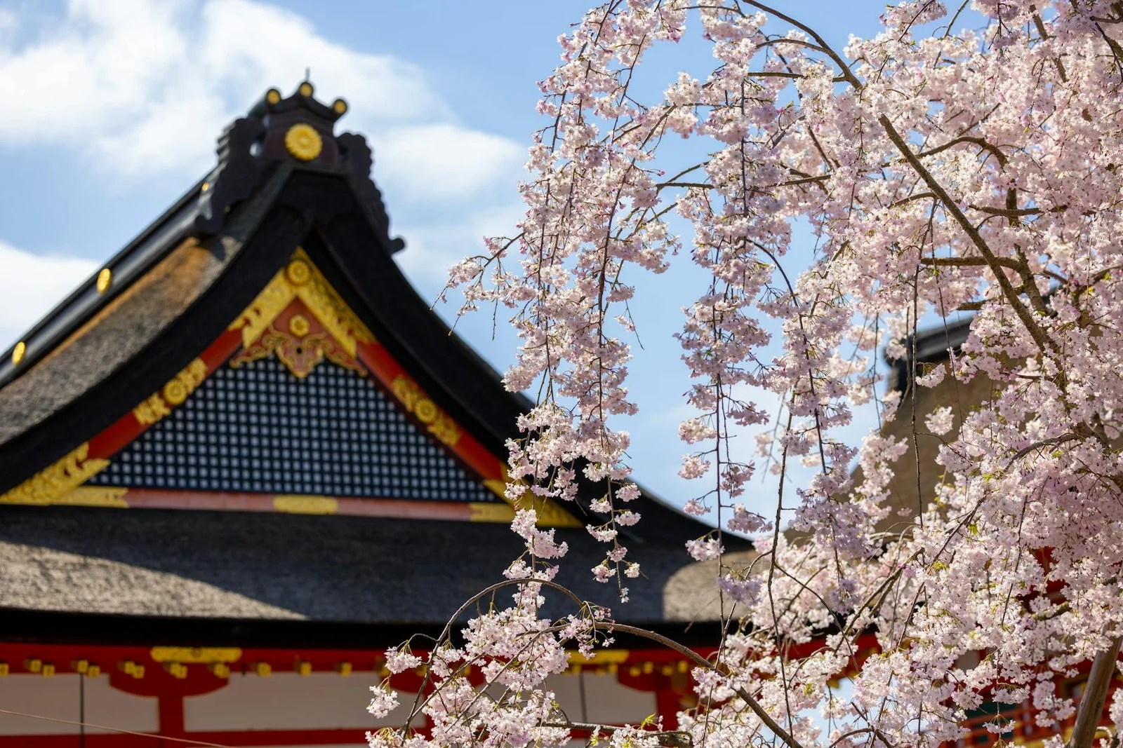 銀髮族遊日本賞楓景點怎麼安排?2026慢遊行程推薦 銀髮族遊日本賞楓景點怎麼安排?2026慢遊行程推薦