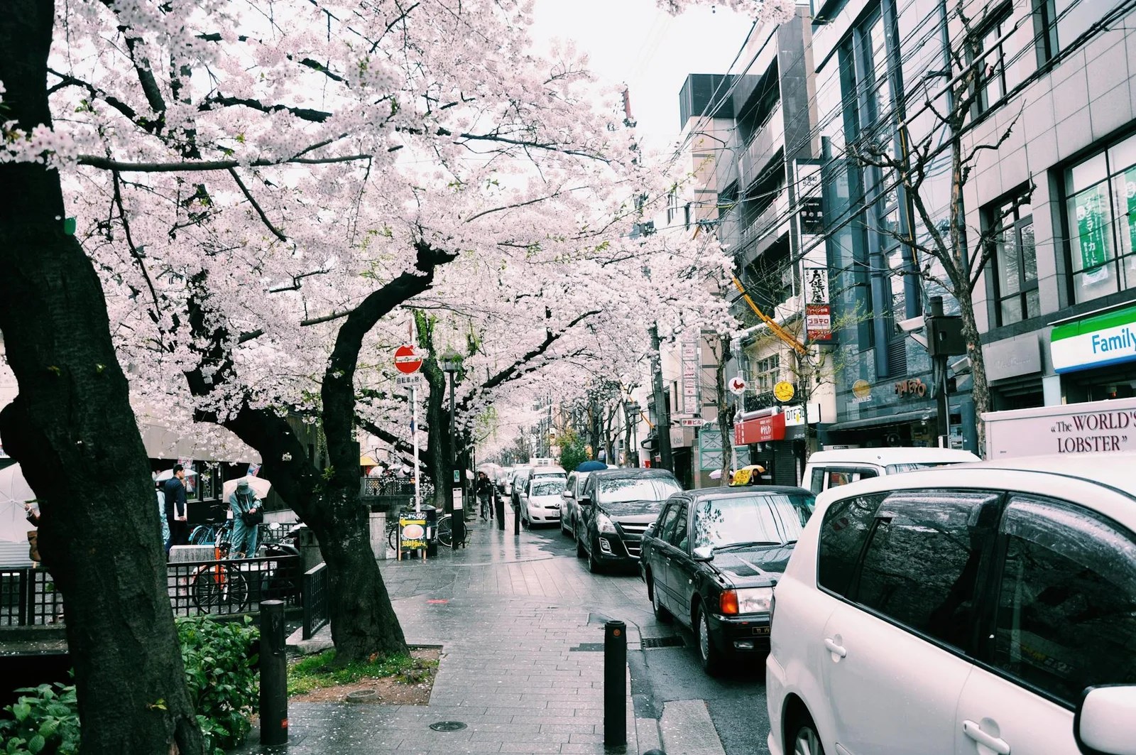 日本二手精品店長期使用心得|2026耐用度與維修經驗 日本二手精品店長期使用心得|2026耐用度與維修經驗