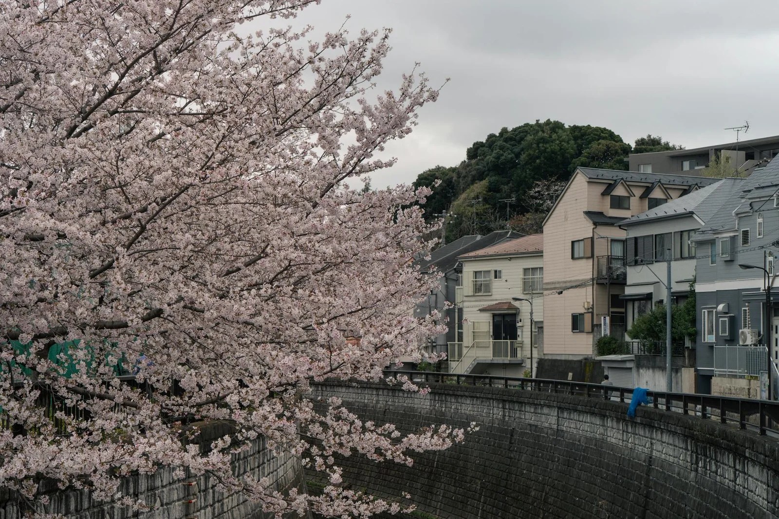 日本信用卡回饋推薦旅遊三個月使用報告|2026優缺點與改進建議 日本信用卡回饋推薦旅遊三個月使用報告|2026優缺點與改進建議
