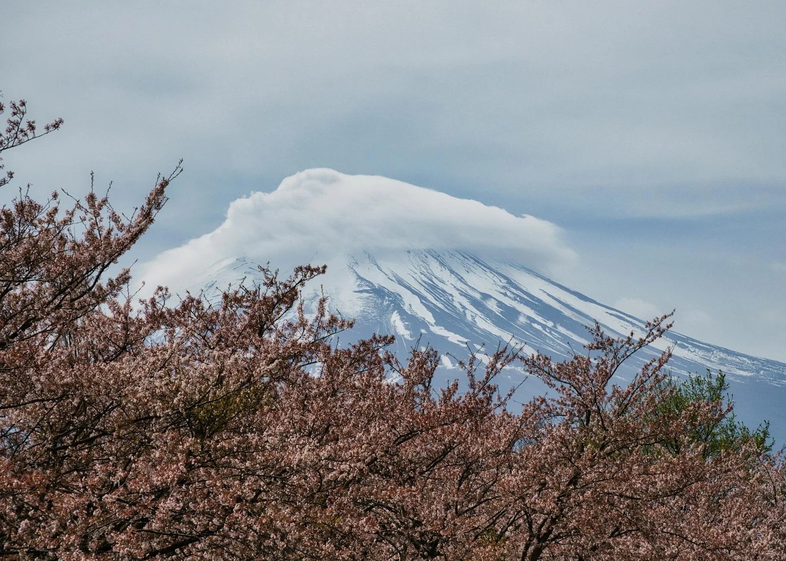 日本ryokan旅館體驗三個月使用報告|2026優缺點與改進建議 日本ryokan旅館體驗三個月使用報告|2026優缺點與改進建議
