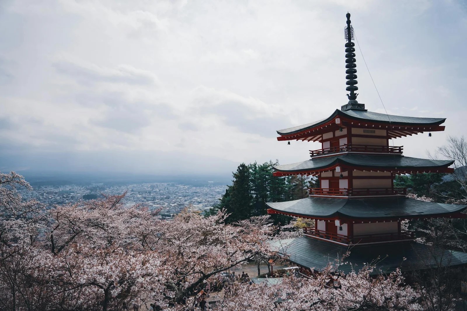 【深度解析】日本中古名牌店推薦東京2026全攻略|KOL私藏行程公開 【深度解析】日本中古名牌店推薦東京2026全攻略|KOL私藏行程公開