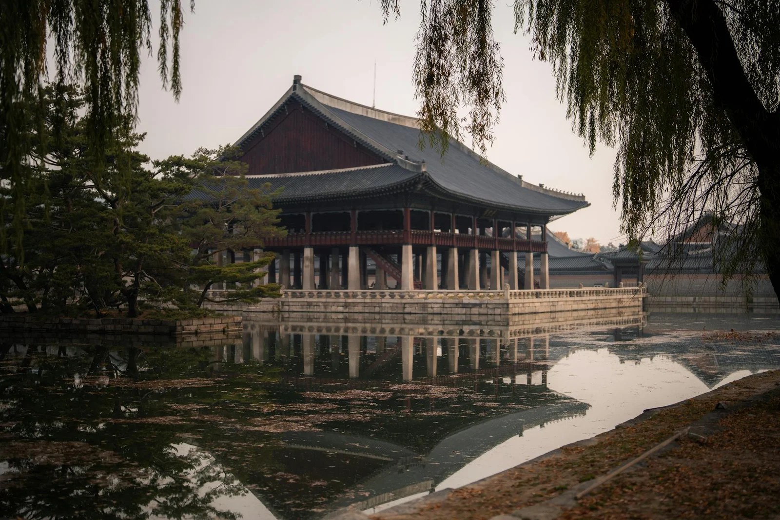 去韓國旅遊必學韓語基礎2026|點餐購物常用語 去韓國旅遊必學韓語基礎2026|點餐購物常用語