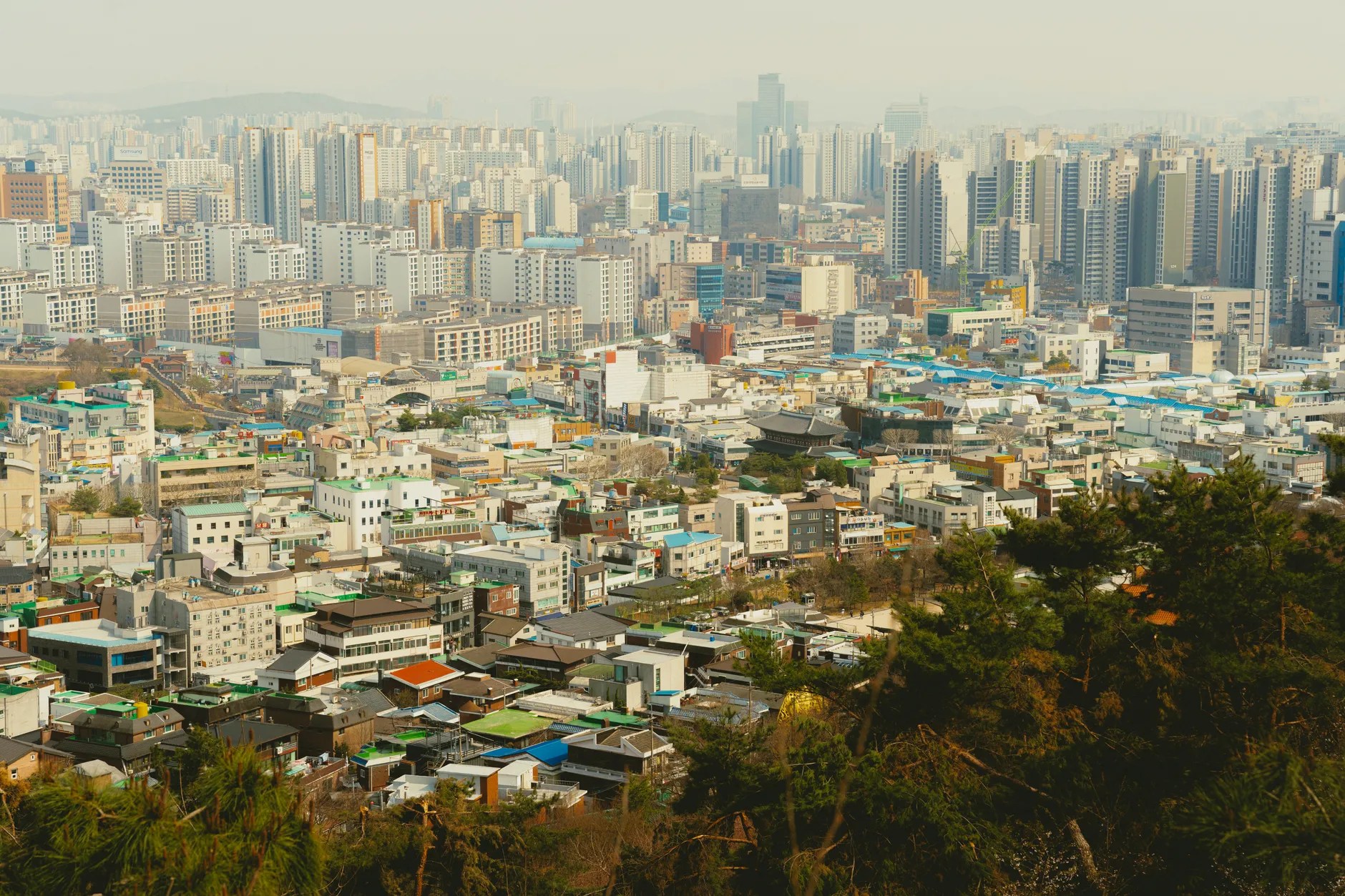 首爾近郊親子景點2026|自然科學農場體驗 首爾近郊親子景點2026|自然科學農場體驗