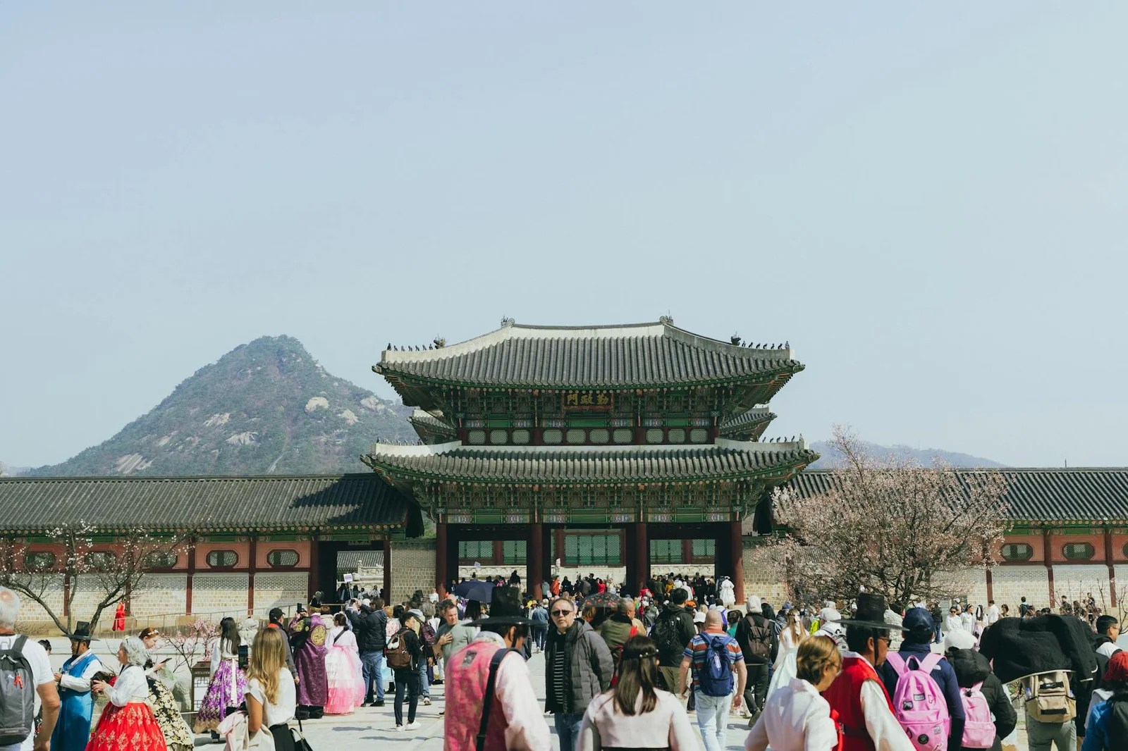 韓國幾月去最好?2026四季旅遊時間完整分析 韓國幾月去最好?2026四季旅遊時間完整分析