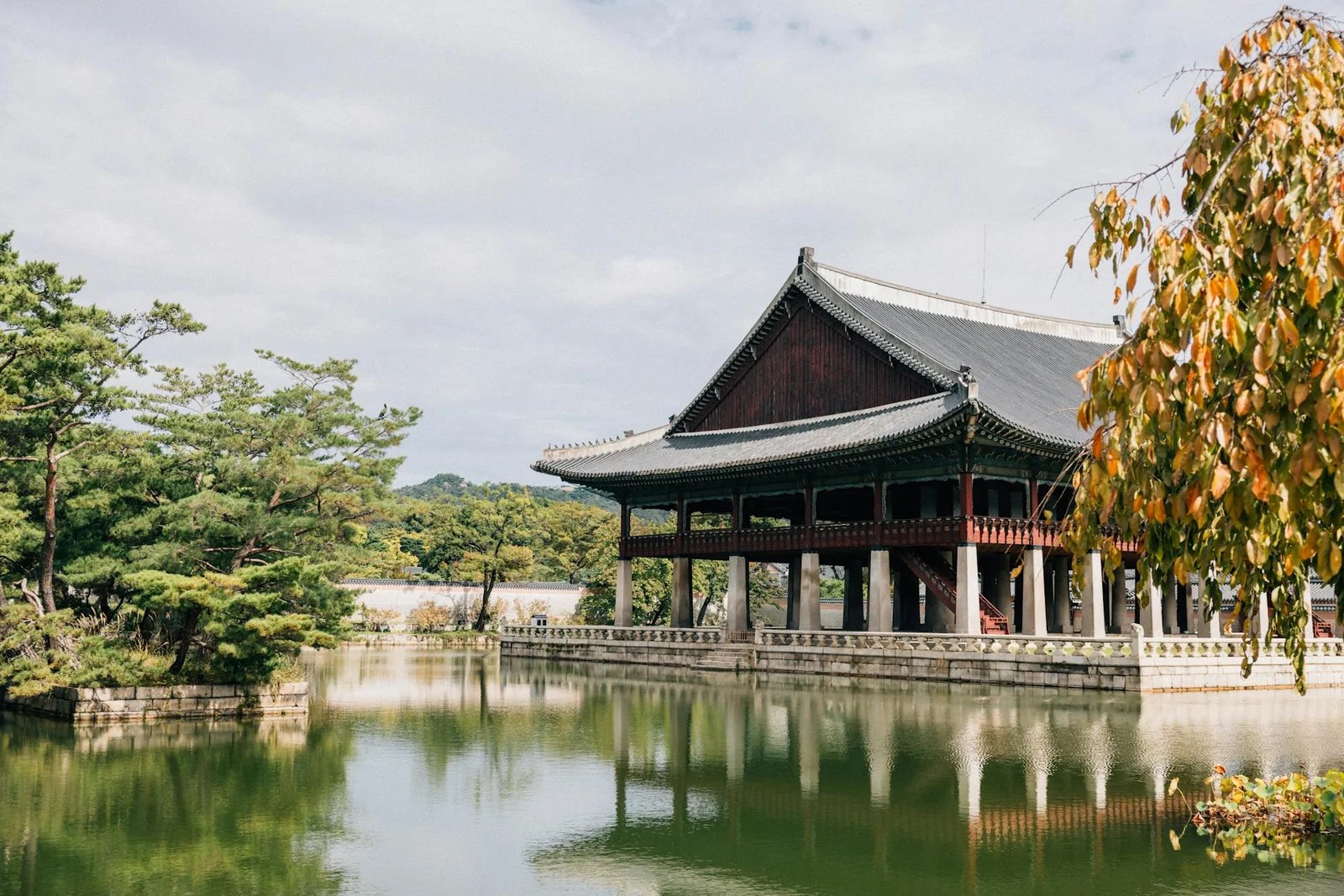 韓國旅遊要帶現金還是刷卡?2026完整建議 韓國旅遊要帶現金還是刷卡?2026完整建議