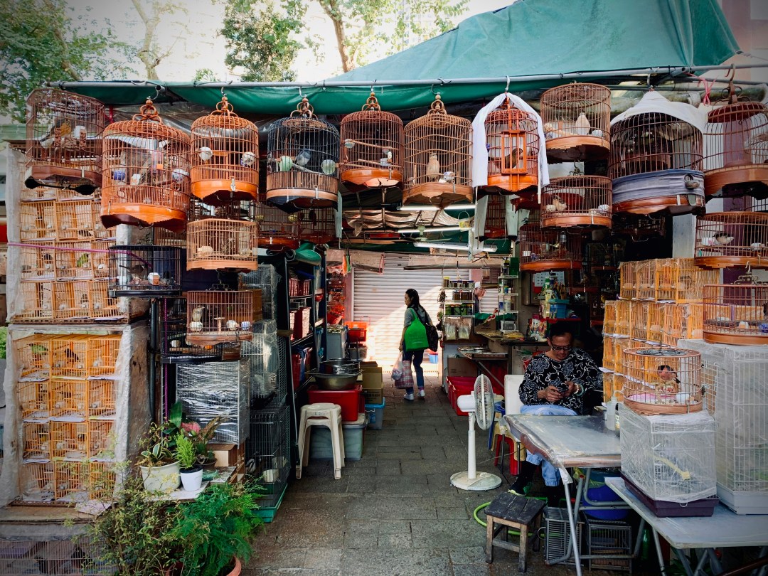 2025香港自由行全攻略:新手必看!4天3夜行程、省錢秘訣、深度體驗一把抓! 2025香港自由行全攻略:新手必看!4天3夜行程、省錢秘訣、深度體驗一把抓!