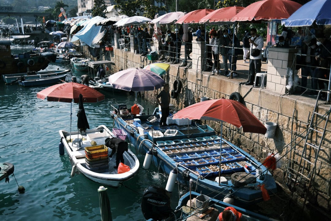 香港景點深度遊指南:玩轉香港,資深顧問教你高效攻略! 香港景點深度遊指南:玩轉香港,資深顧問教你高效攻略!