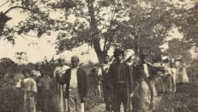 “هذه الأرض تحتاج إلى الحماية”: داخل مزاد مثير للجدل لعقارات جولا-جيشي |  كارولينا الجنوبية “هذه الأرض تحتاج إلى الحماية”: داخل مزاد مثير للجدل لعقارات جولا-جيشي |  كارولينا الجنوبية