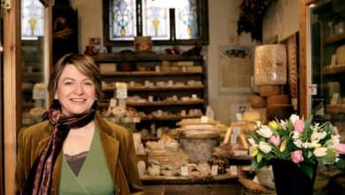 الفطريات الوظيفية: هل يمكن للفطر الطبي أن يحسن صحة الإنسان حقًا؟  |  الفطريات الفطريات الوظيفية: هل يمكن للفطر الطبي أن يحسن صحة الإنسان حقًا؟  |  الفطريات