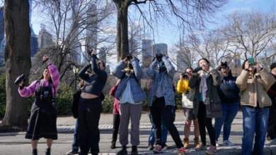 لقد كانت الحرية بمثابة صيحة، ولكن هل تستطيع البومة فلاكو البقاء على قيد الحياة في مدينة نيويورك؟  |  نيويورك لقد كانت الحرية بمثابة صيحة، ولكن هل تستطيع البومة فلاكو البقاء على قيد الحياة في مدينة نيويورك؟  |  نيويورك