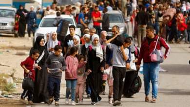 مسؤول صحي: الفلسطينيون يحفرون مقابر جماعية داخل مستشفى الشفاء | حرب إسرائيل وحماس مسؤول صحي: الفلسطينيون يحفرون مقابر جماعية داخل مستشفى الشفاء | حرب إسرائيل وحماس