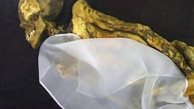 صدمة القديم: 10 سيدات موشومات رائدات ومتجاوزات |  الوشم صدمة القديم: 10 سيدات موشومات رائدات ومتجاوزات |  الوشم