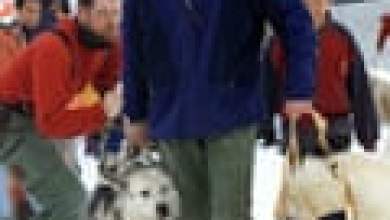 “الحياة الراقية يمكن أن تكون منخفضة الكربون”: العائلة المالكة الأوروبية تتعامل مع أزمة المناخ |  الملكية “الحياة الراقية يمكن أن تكون منخفضة الكربون”: العائلة المالكة الأوروبية تتعامل مع أزمة المناخ |  الملكية