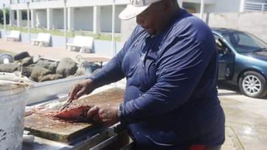 المزيد من الأسماك الطائرة في البحر؟ مخاوف توباغو مع تحرك قوارب باجان | التنمية العالمية المزيد من الأسماك الطائرة في البحر؟ مخاوف توباغو مع تحرك قوارب باجان | التنمية العالمية