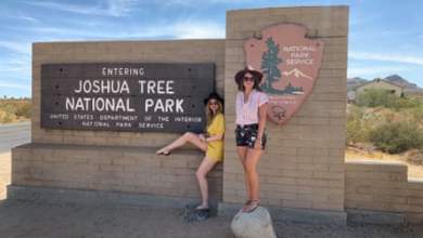 من خلال الحزن والفرح وكوفيد، حافظت سلسلة Snapchat التي استمرت 2450 يومًا على صداقتنا في جميع أنحاء العالم | صداقة من خلال الحزن والفرح وكوفيد، حافظت سلسلة Snapchat التي استمرت 2450 يومًا على صداقتنا في جميع أنحاء العالم | صداقة