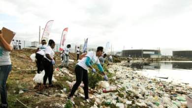 “نريد أن نراها مرة أخرى في مجدها”: هل يمكن أن تكون عملية تنظيف ميناء كينغستون نموذجًا للعالم؟  |  التنمية العالمية “نريد أن نراها مرة أخرى في مجدها”: هل يمكن أن تكون عملية تنظيف ميناء كينغستون نموذجًا للعالم؟  |  التنمية العالمية