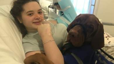 لقد أمضيت سنوات في ألم شديد لدرجة أنني توسلت إلى شخص ما ليقطع ذراعي.  هكذا نجوت |  صحة لقد أمضيت سنوات في ألم شديد لدرجة أنني توسلت إلى شخص ما ليقطع ذراعي.  هكذا نجوت |  صحة