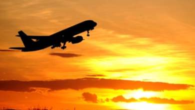 لقد أدى رفضي للطيران إلى فقداني وظيفتي كباحثة مناخية.  إنه ثمن يستحق أن ندفعه |  جيانلوكا جريمالدا لقد أدى رفضي للطيران إلى فقداني وظيفتي كباحثة مناخية.  إنه ثمن يستحق أن ندفعه |  جيانلوكا جريمالدا