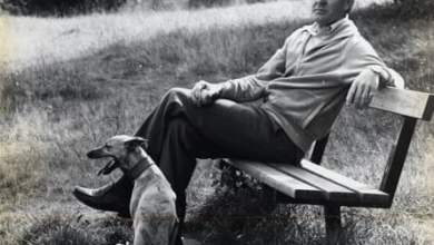 كاتب سيرة جون لو كاريه آدم سيسمان: ‘أراد أن يجعلني أحبه’ |  جون لو كاريه كاتب سيرة جون لو كاريه آدم سيسمان: ‘أراد أن يجعلني أحبه’ |  جون لو كاريه