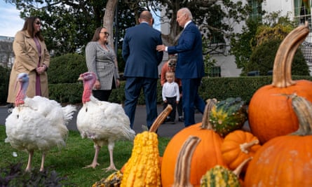“مبروك أيها الطيور”: بايدن يجلب النكات وهو يعفو عن الديوك الرومية في عيد الشكر |  جو بايدن “مبروك أيها الطيور”: بايدن يجلب النكات وهو يعفو عن الديوك الرومية في عيد الشكر |  جو بايدن