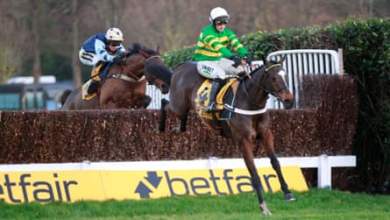 الخيول المتكلمة: المقامرون ينتظرون مباراة العودة بين جونبون وإل فابيولو |  سباق الخيل الخيول المتكلمة: المقامرون ينتظرون مباراة العودة بين جونبون وإل فابيولو |  سباق الخيل