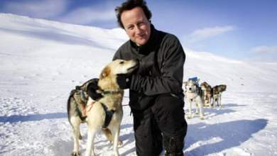 “لا يزال لديه سحره السياسي”: ديفيد كاميرون يعود من كوخه |  ديفيد كاميرون “لا يزال لديه سحره السياسي”: ديفيد كاميرون يعود من كوخه |  ديفيد كاميرون