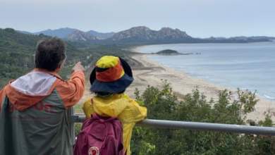 “هذا المكان أكثر من مجرد أسلاك شائكة”: كوريا الجنوبية تعيد تصور المنطقة المنزوعة السلاح كطريق نحو السلام | كوريا الشمالية “هذا المكان أكثر من مجرد أسلاك شائكة”: كوريا الجنوبية تعيد تصور المنطقة المنزوعة السلاح كطريق نحو السلام | كوريا الشمالية